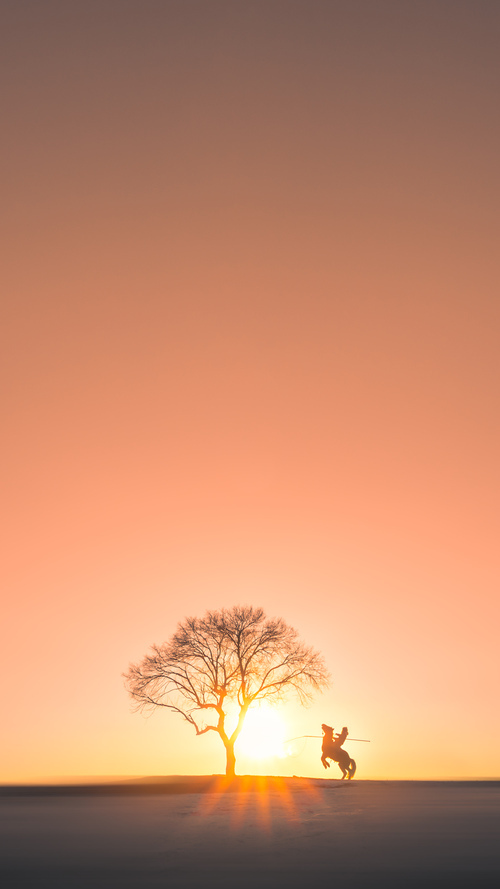 国家队出战亚冠联赛 平局结局令人意外,国家队亚锦赛