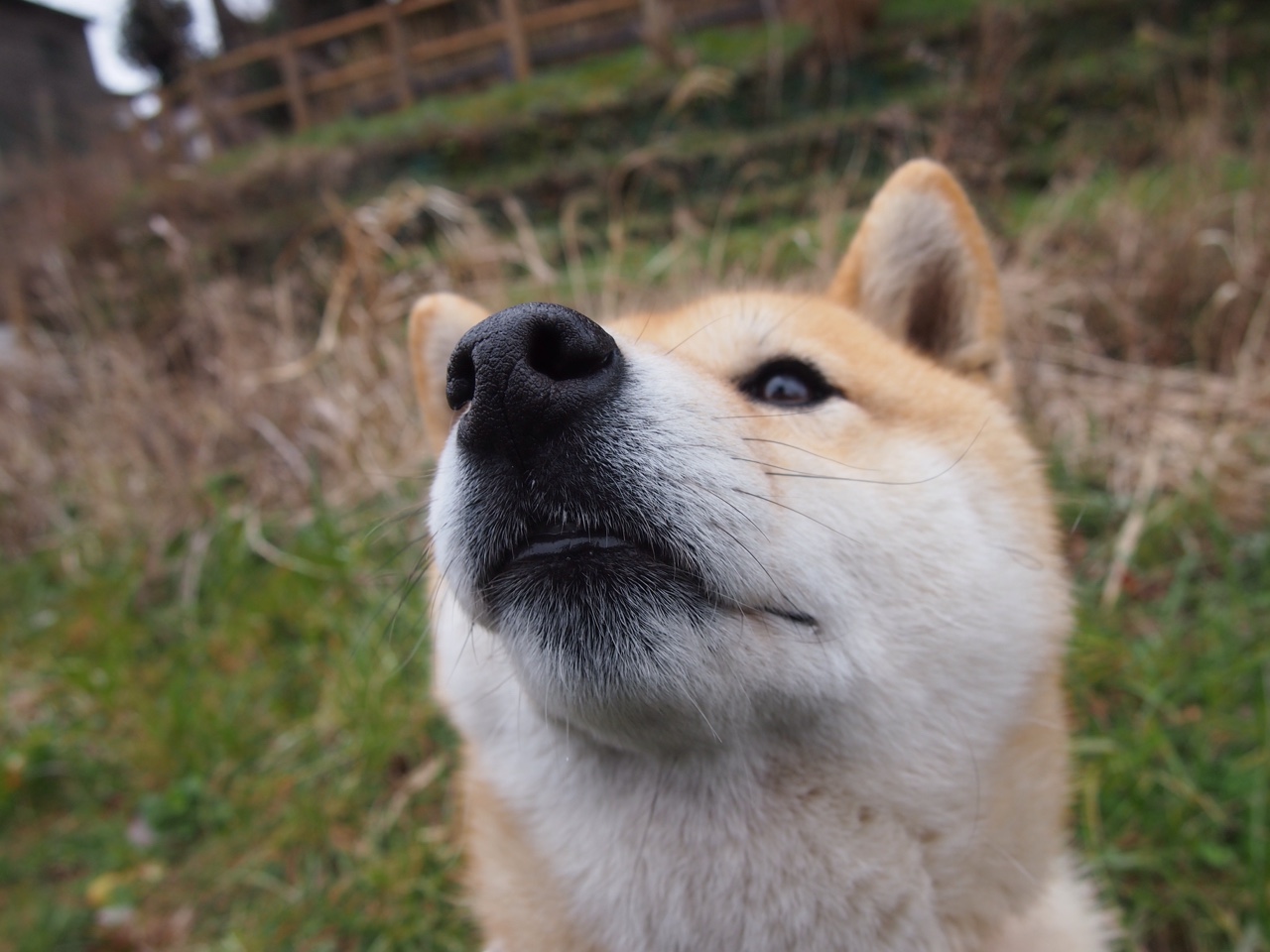 国际赛场表现引发反思国内联赛竞争是否足够,国际赛场上