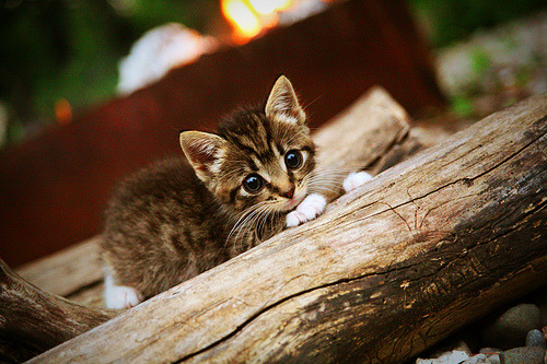 女子4×100自接力队伍默契初成,女子接力选手