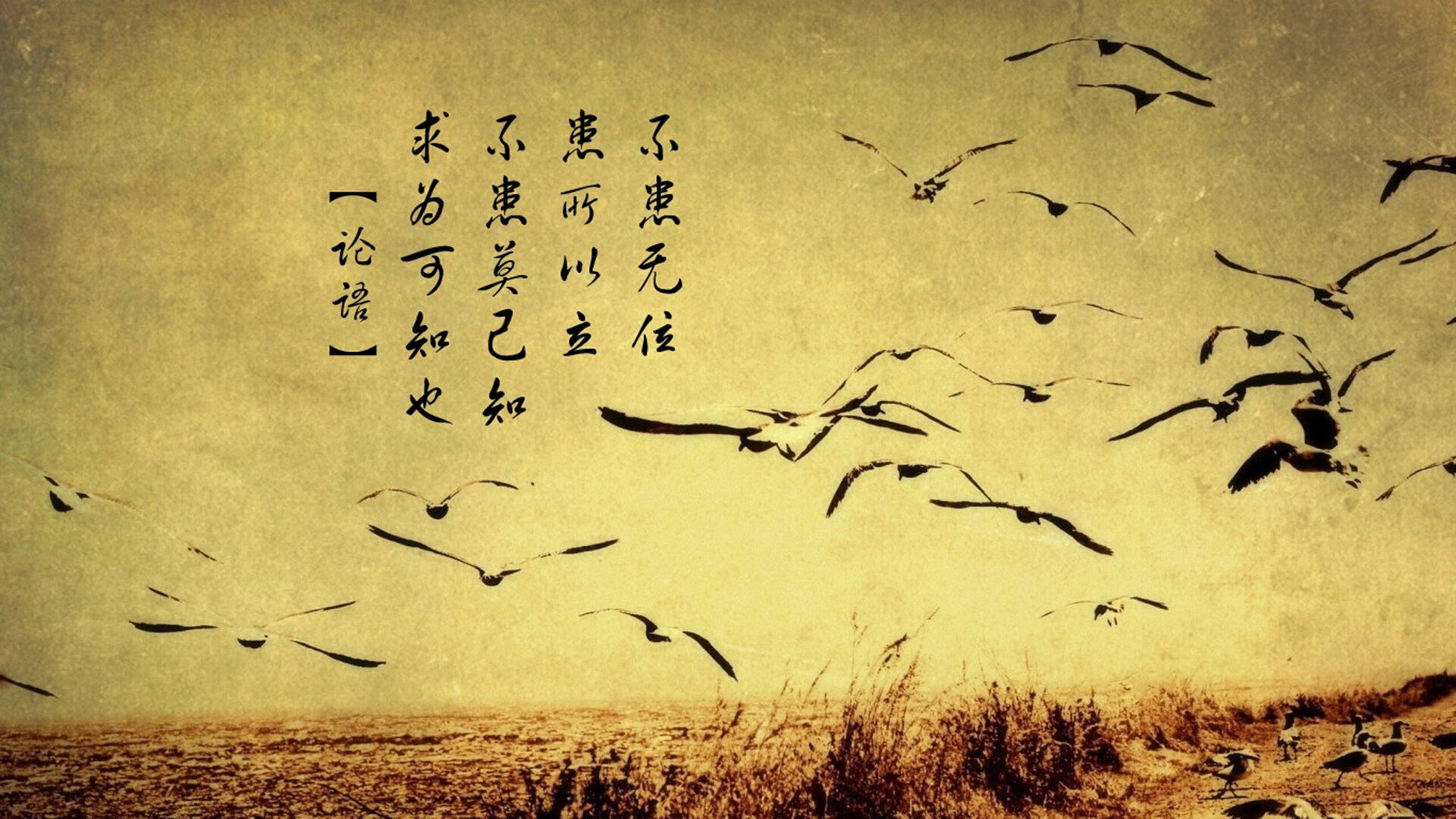 哈登带伤砍分助火箭逆转取胜,哈登跑向火箭替补席