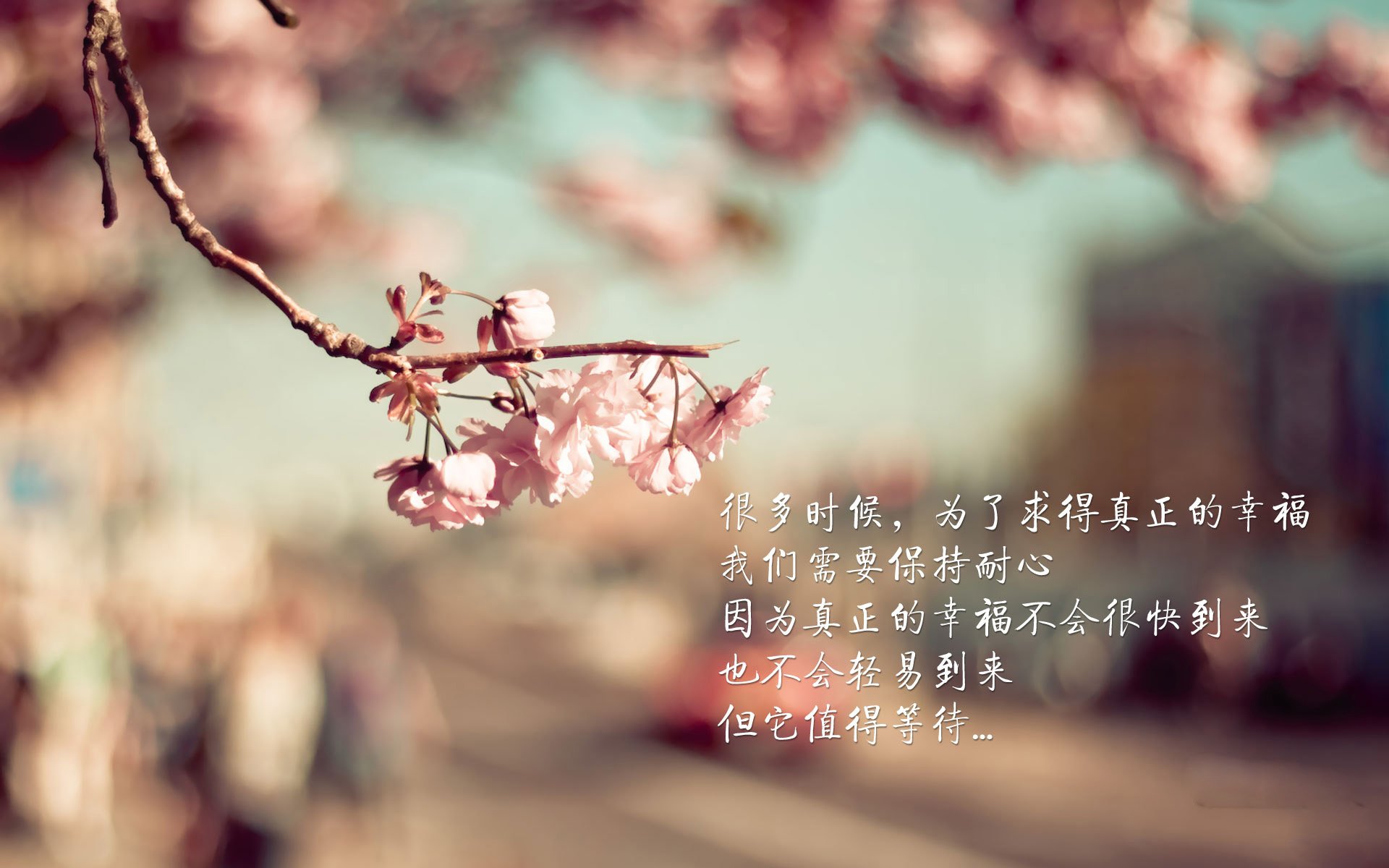 开云体育在线-德甲球队的战术思想演变，德甲的队伍