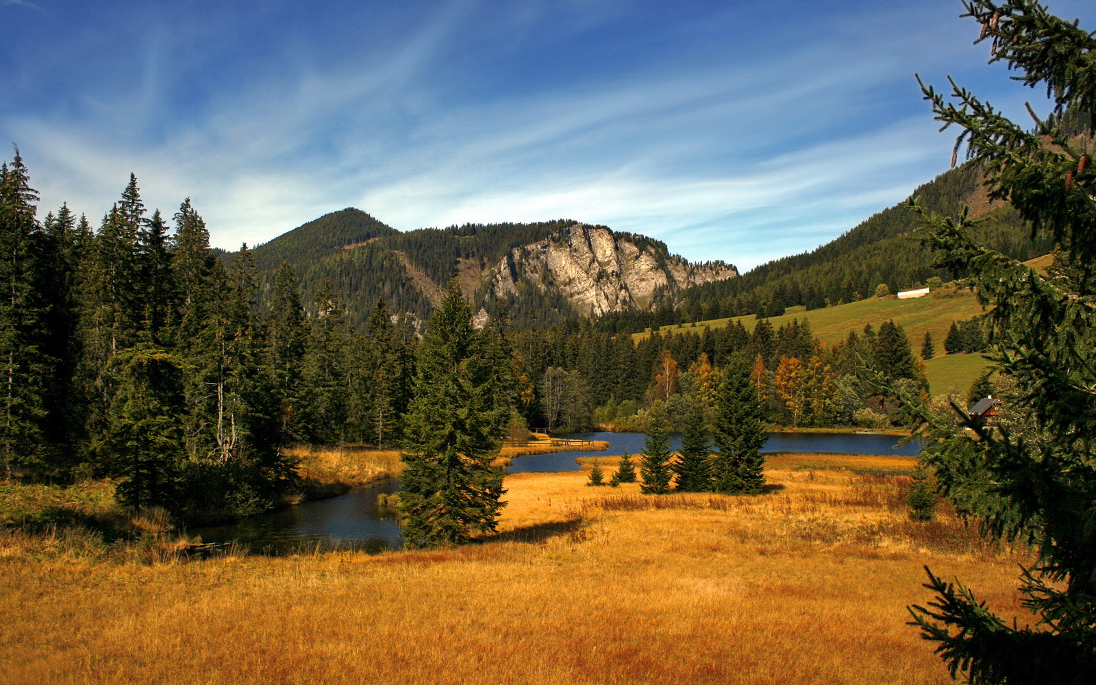 开云体育网址-意甲“速度杀手”：瞬间突破，得分惊艳！