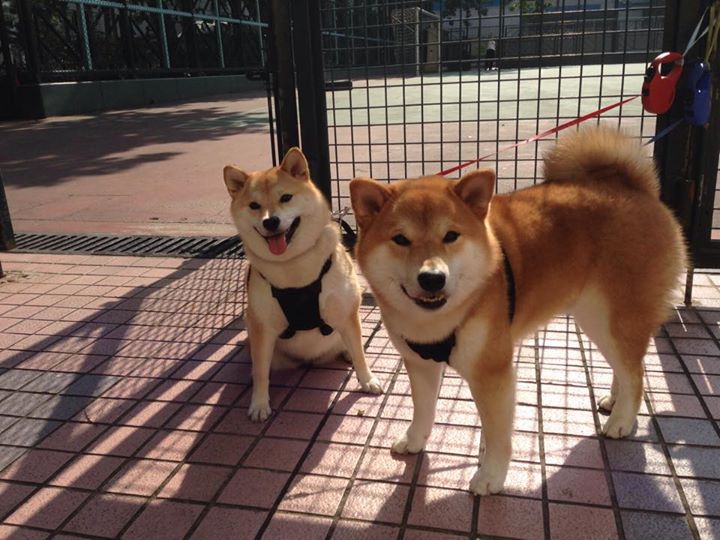 开yun官网-拉文增加中距离冲击制造罚球机会，拉文球员训练