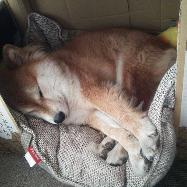 开云体育-法甲巨星闪耀：瞬间带来全场高潮，法甲巨头